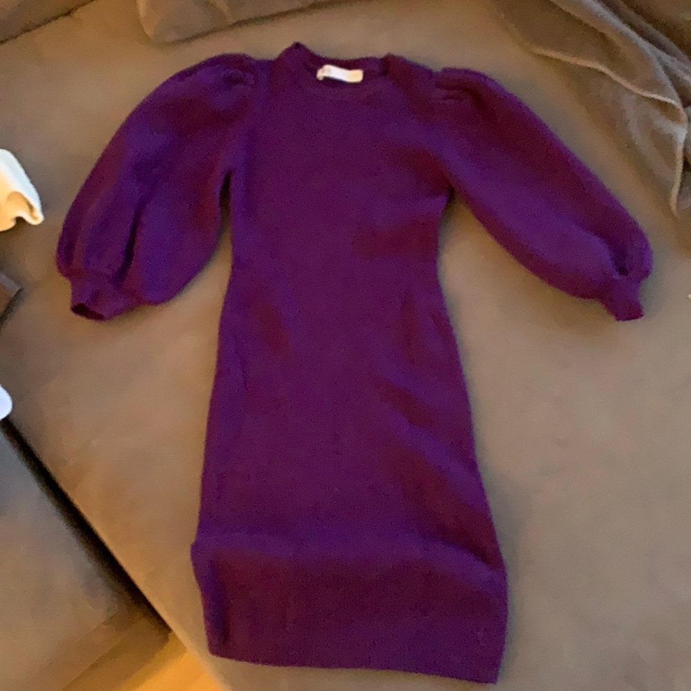 NWOT Zara Dress